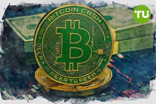 Bitcoin Cash prisprognose: Vil $223,90-støtten holde, mens BCH falder 8,43%?