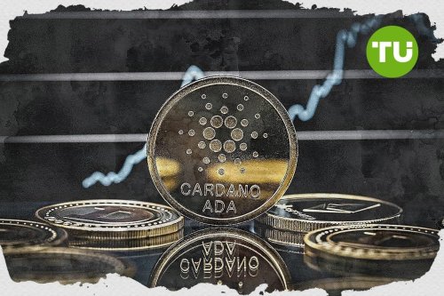 Cardano توقع السعر: هل سيدعم التراكم من قبل كبار الحائزين ADA ؟