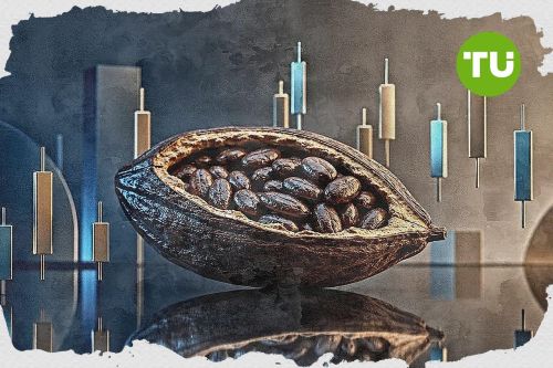 Will cocoa price maintain its gains amid stable supply and regulatory clarity in Ghana?