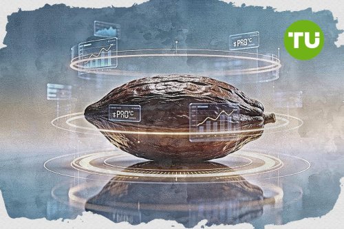 Kakao kontynuuje wzrosty po tym, jak niekorzystna pogoda związana z El Niño uderzyła w produkcję