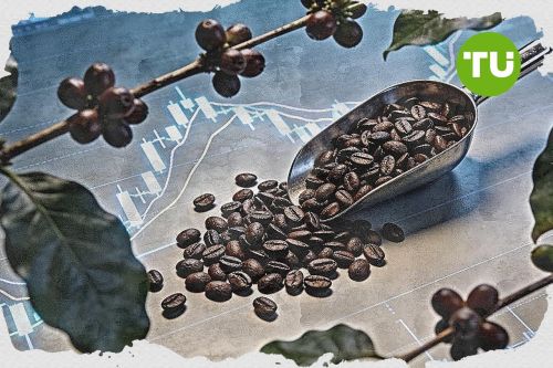 Muted action for Coffee as $273.61 support level anchors trade