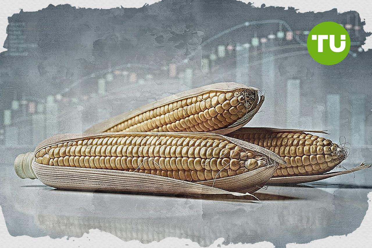 +2.31% for Corn as Strait of Hormuz shipping resumption boosts exports