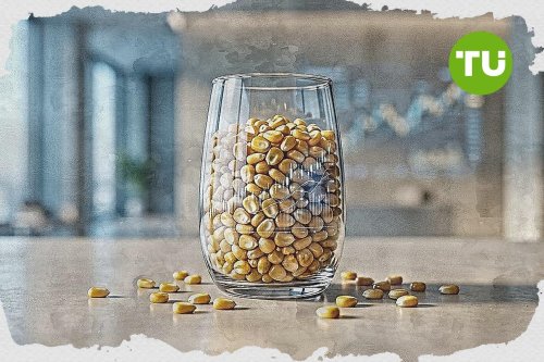 $403.55 support anchors Corn as price trades flat