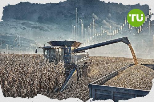 Corn consolidates as price holds near $401.78 support