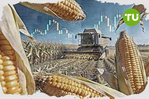 Muted price action for Corn as $410.58 support remains intact