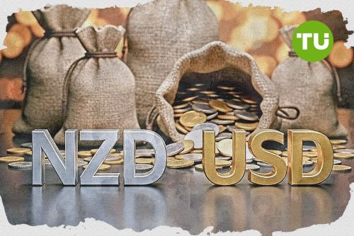 Why is New Zealand Dollar vs US Dollar price down today?