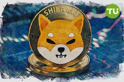 SHIB recua enquanto o MACD indica forte momento de venda: análise semanal