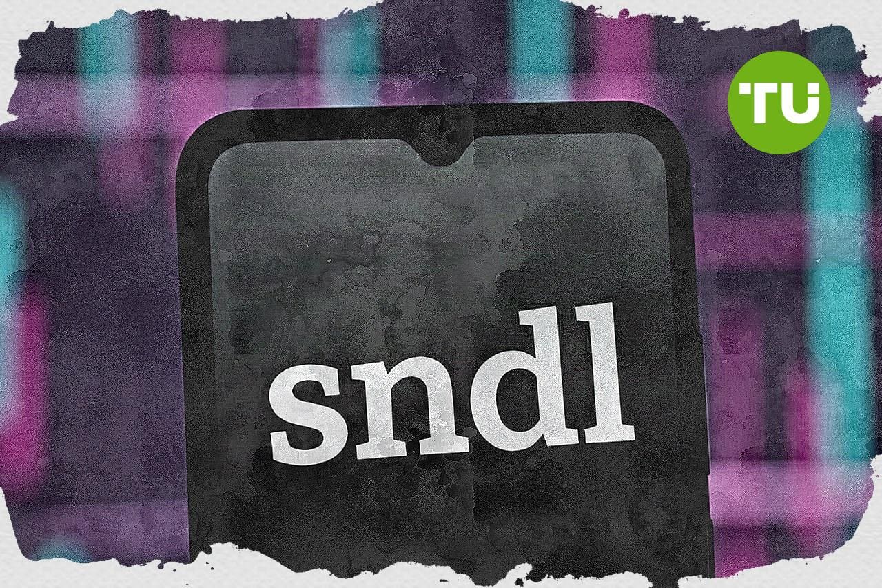 Sundial Growers stock gains 1.22% as oversold conditions spark mild rebound  hopes