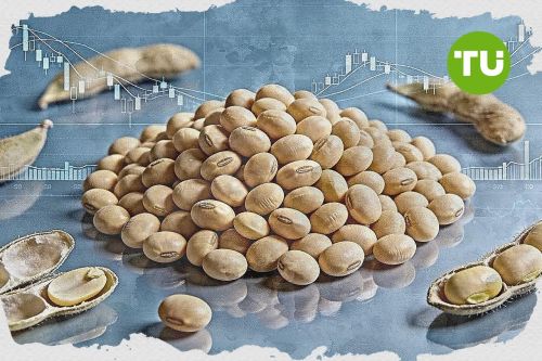 Soybeans consolidates as sellers control short-term direction