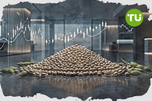 Soybeans holds steady amid oversold conditions limiting further declines