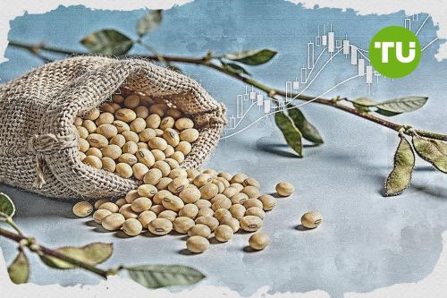 Soybeans holds steady as positive momentum persists despite mixed signals
