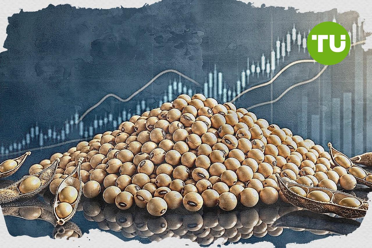 China export curbs on Japanese entities drive Soybeans higher