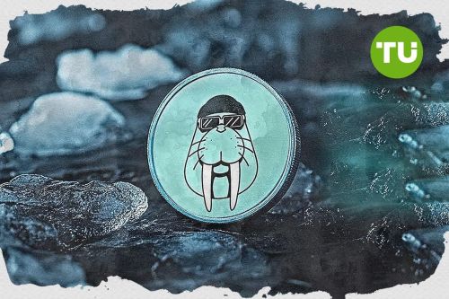 O que está por trás da recente queda no valor do Walrus hoje
