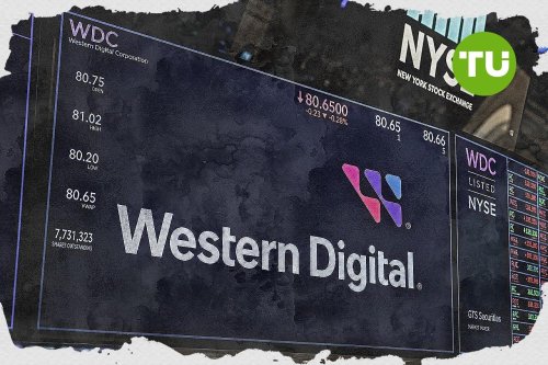 Western Digital shares gain almost 3% after fresh Kioxia merger discussions and sector rebound hopes