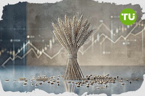 Wheat trades up after US lifts Iran oil sanctions