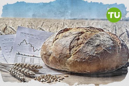 Buying pressure lifts Wheat price higher in today's trading