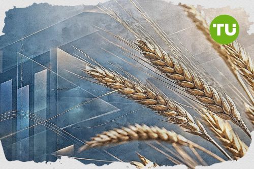 Wheat price forecast: $570.57 support in focus as ZW drops 2.24%