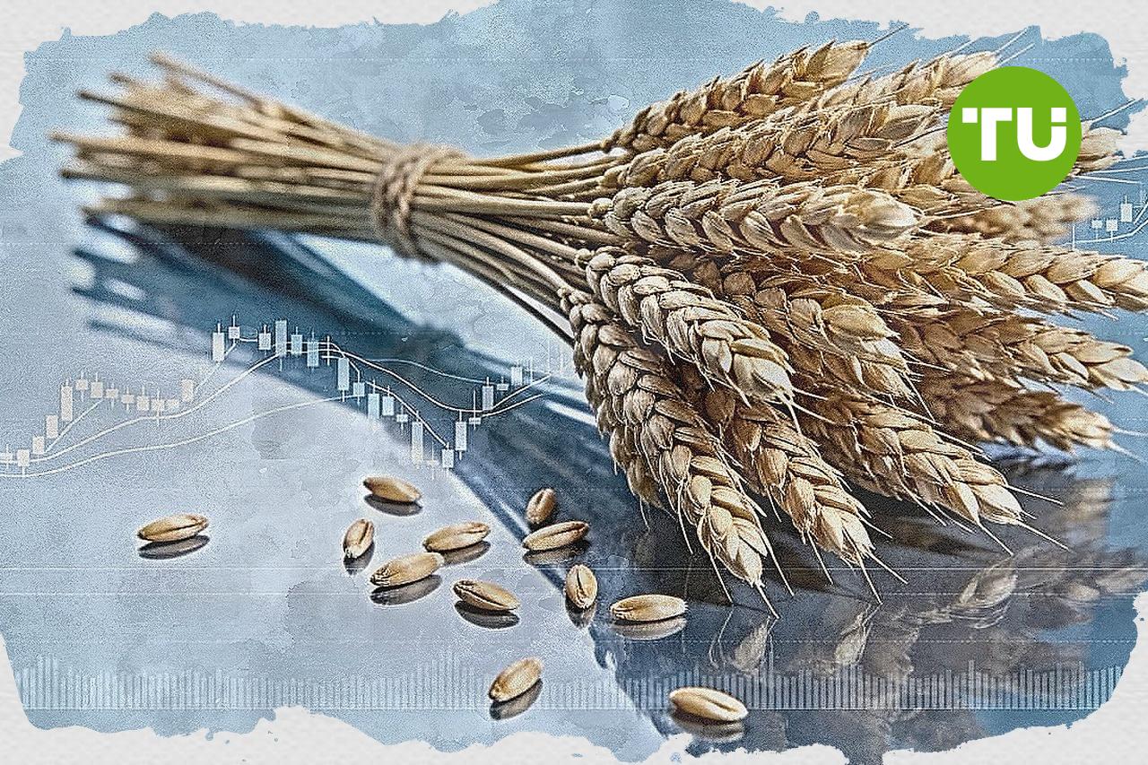 Quiet trading for Wheat as market stays within the $571.87–$629.25 range