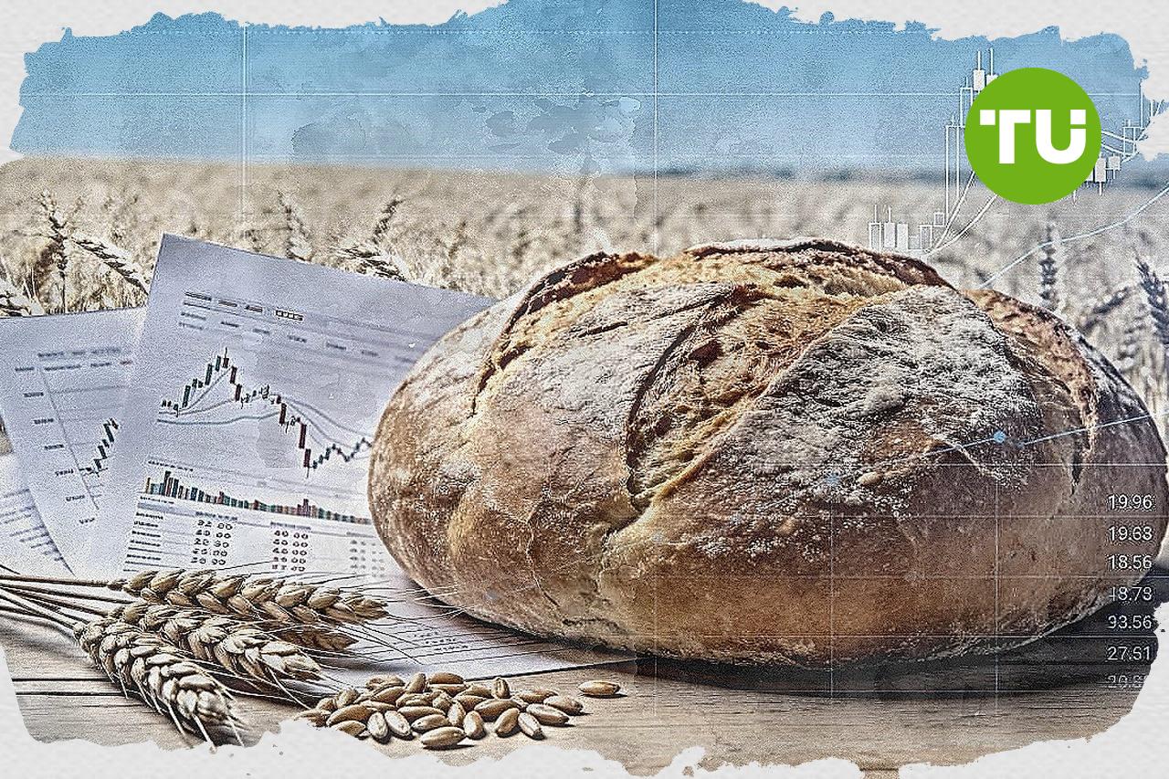 Buying pressure lifts Wheat price higher in today's trading