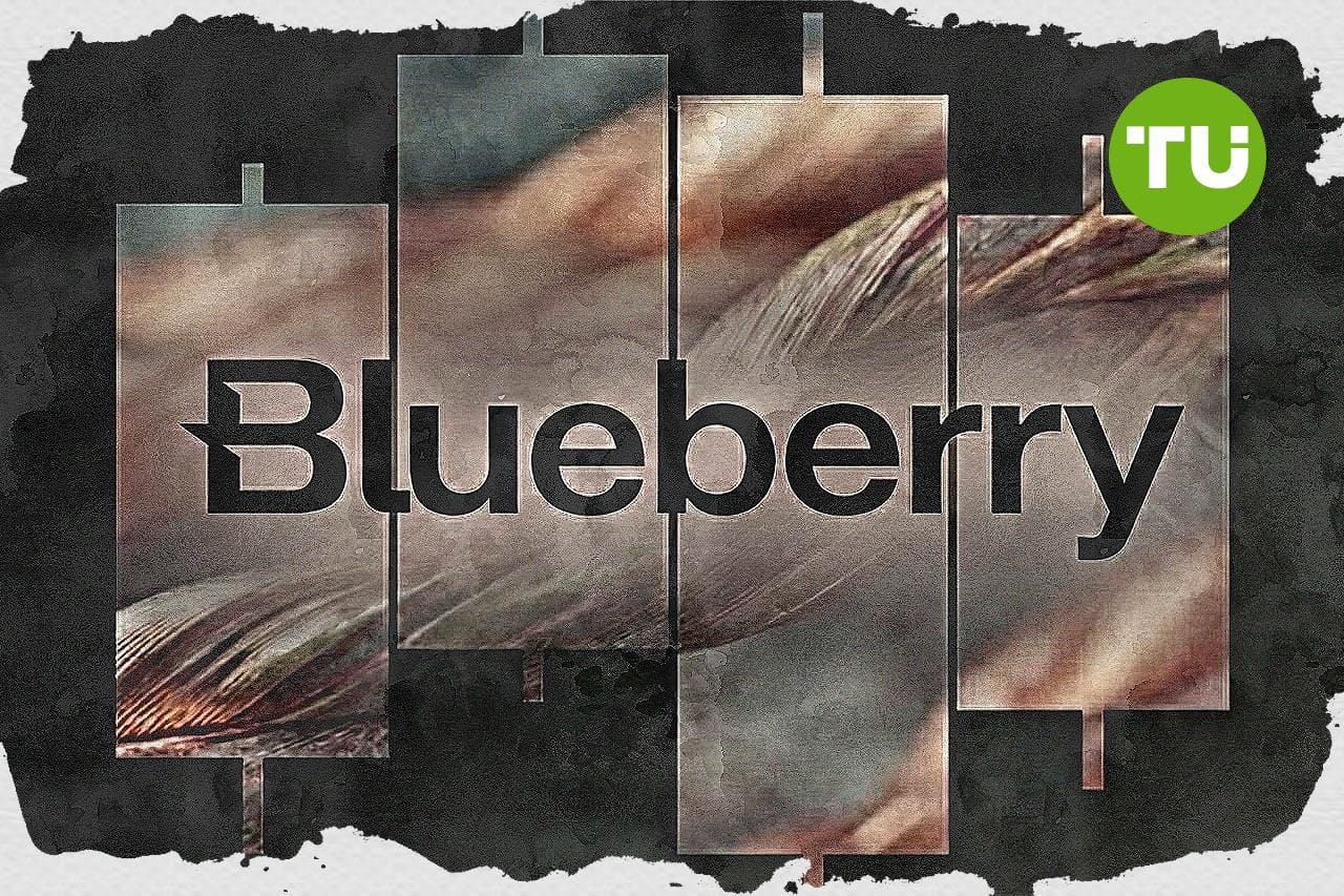 Blueberry Markets подчеркивает синергию между трейдингом и парусным спортом в последних новостях о партнерстве с Bonds Flying Roos