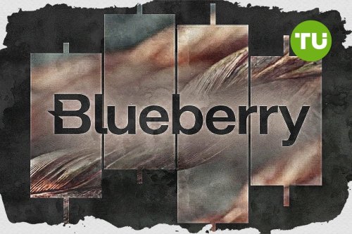 Blueberry Markets emphasizes trading and sailing synergy in latest Bonds Flying Roos partnership news