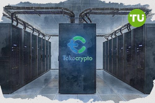 Tokocrypto объявляет 30-минутную сессию инсайтов и вопросов-ответов с трейдером Александром Брайаном