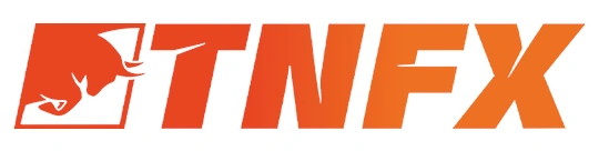 Логотип TNFX