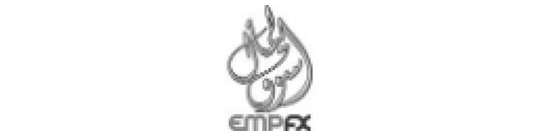 EMPfx.com