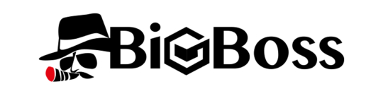 Логотип Big Boss