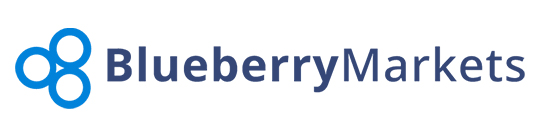 Логотип Blueberry Markets