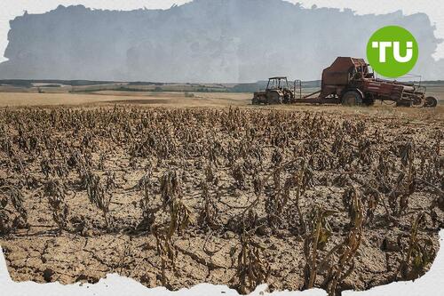 La France mobilise plus de 1 milliard d’euros pour soutenir l’agriculture