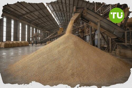 SLC Agrícola e São Martinho mantêm alta com açúcar, mas BofA vê espaço limitado para revisão de lucros