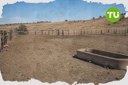IRS extends drought tax relief for farmers and ranchers across 49 states and other regions