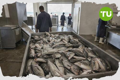 Eritrea-Projekt zur Fischerei steigert Einkommen und Produktion über Zielwerte