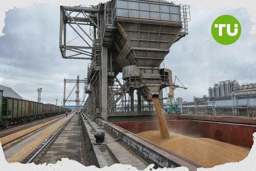 Russia shifts grain exports to Baltic and Arctic ports after Black Sea disruptions