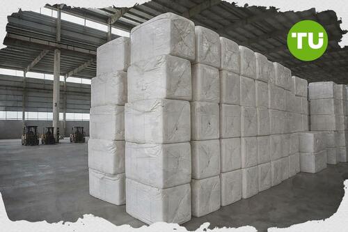 Bradesco BBI corta projeções para papel e celulose e mantém Suzano como única compra