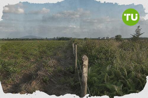 UU reforma agraria 2026 picu risiko konsolidasi lahan bagi sektor pertanahan Indonesia