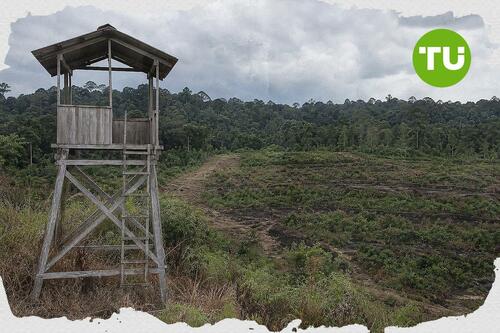 Jambi perkuat pencegahan karhutla berbasis masyarakat, Menhut soroti model Bujang Raba