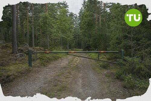 Alex Karp-backed Cladonia Skog acquires Swedish forest land
