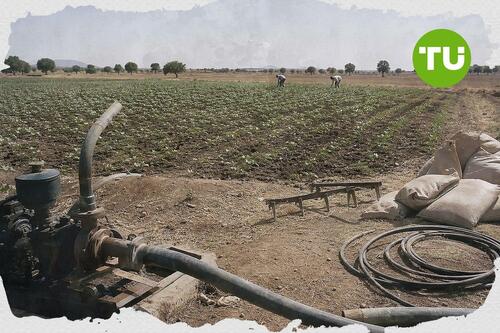 Bank of Agriculture, AFAN expand dry season farming credit in Nigeria
