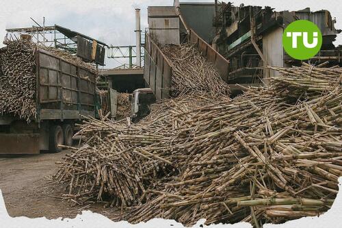 Philippine sugar industry keeps full crop for domestic market, skips U.S. quota