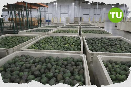 Mission Produce expands non-Mexico supply to support U.S. avocado demand
