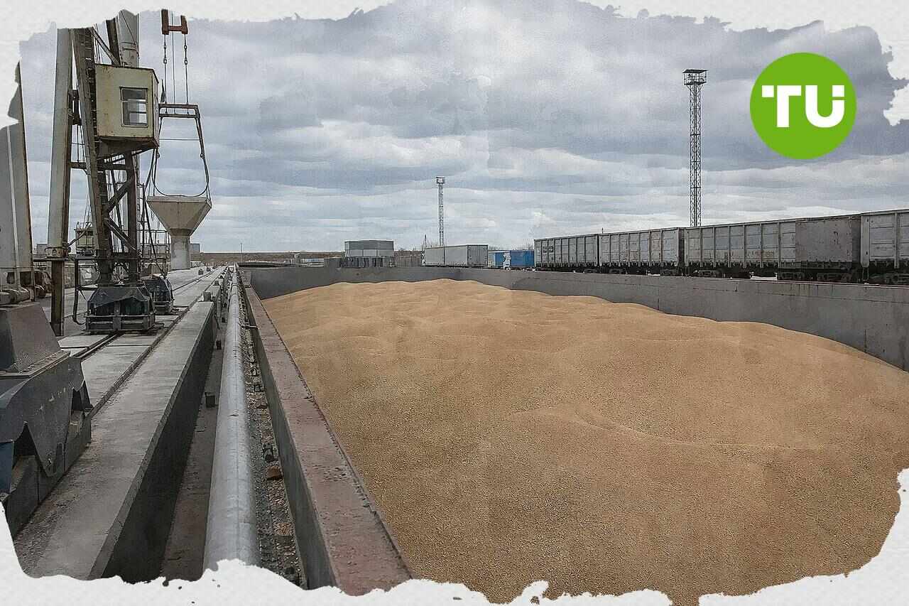 Baltic States Urge EU-Wide Ban on Russian Grain Transit