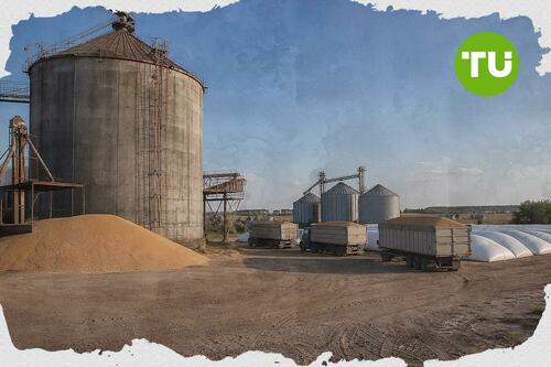 Black Sea attacks threaten Ukraine and Russia grain exports as sowing incentives weaken