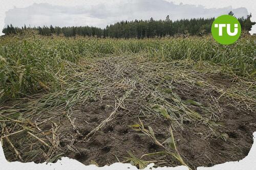 Männiku Agro hoiatab kasvavate karukahjude eest Lääne-Virumaa põllumajanduses