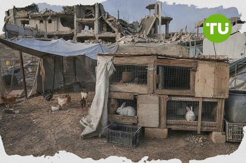Von Frauen geführte Unternehmen in Gaza versuchen, ihren Betrieb trotz kriegsbedingter wirtschaftlicher Verwerfungen aufrechtzuerhalten