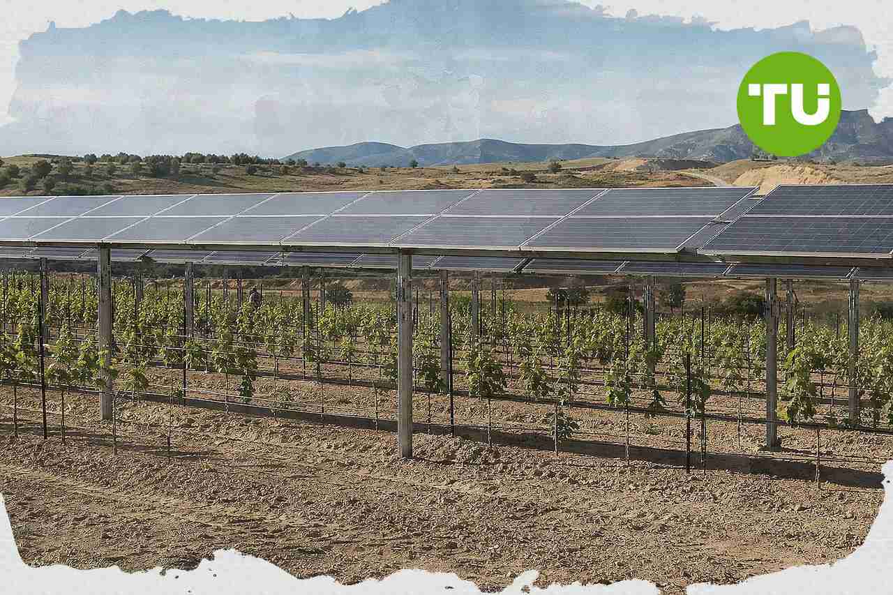 MND rozjíždí pilotní agrovoltaiku na jižní Moravě