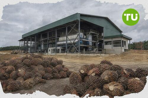 AEP Plantations reports higher 9-month output, declares interim dividend