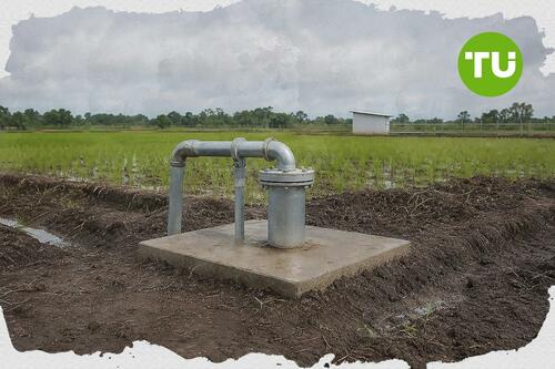 KSPEAN Merauke dorong pengembangan lumbung pangan nasional