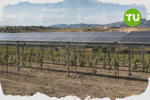 MND rozjíždí pilotní agrovoltaiku na jižní Moravě